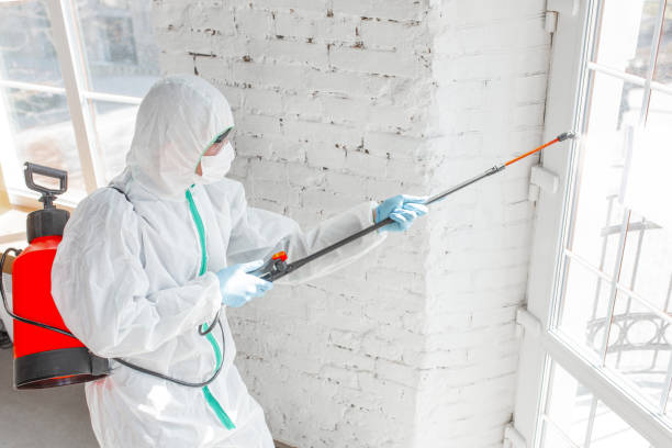 Professional Mold Removal in Lexington, TX